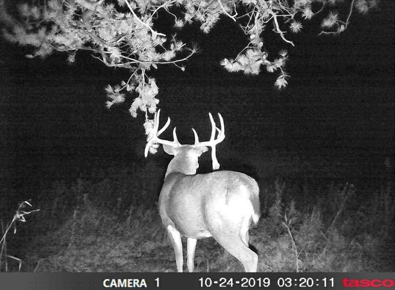 Screenshot 20191030-095213