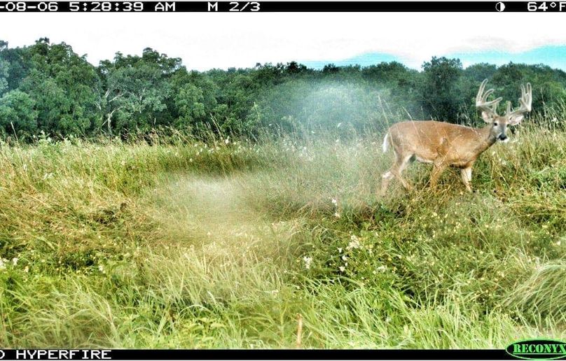 Fb img 1569859702064