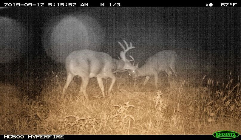 Screenshot 20190925-091554-01