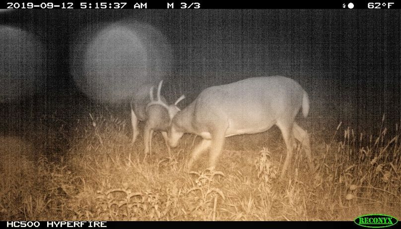 Screenshot 20190925-091517-01