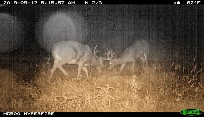 Screenshot 20190925-091537-01