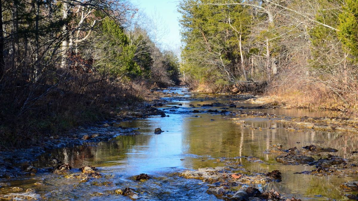 Hunting and Recreational Farm With YearRound Creek Near Richwoods Whitetail Properties