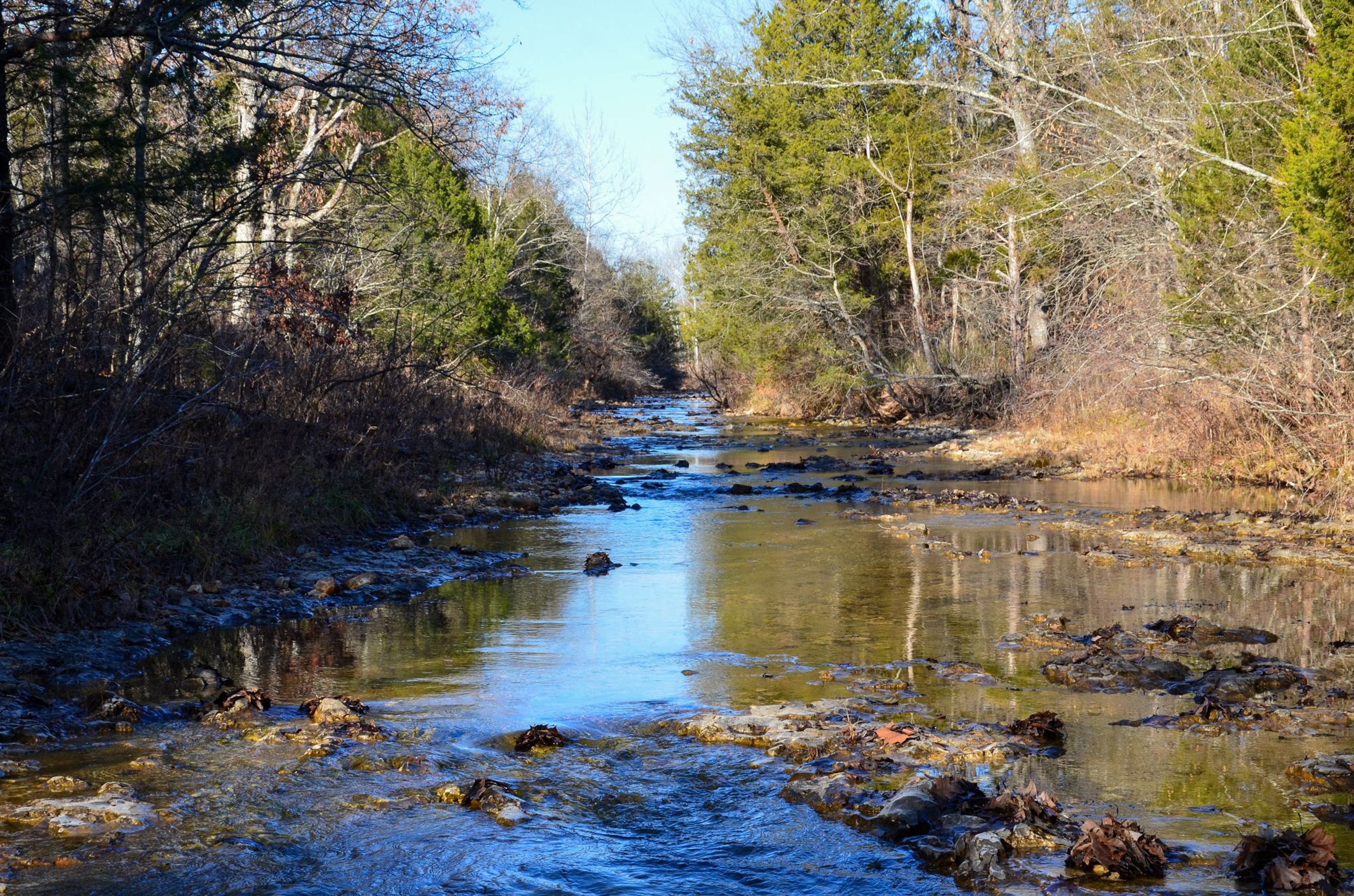 Hunting and Recreational Farm With YearRound Creek Near Richwoods