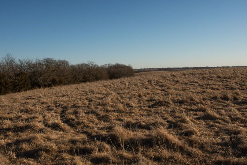 WORTH CO MO 537.44_63