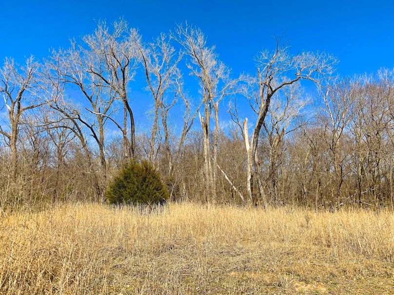 Poncacityok acrage-015