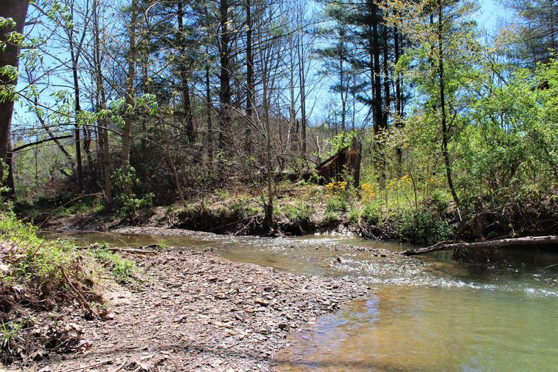 006 the second of two year-round streams running through the center of the property