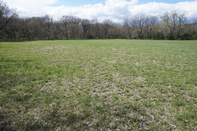 Small west alfalfa field