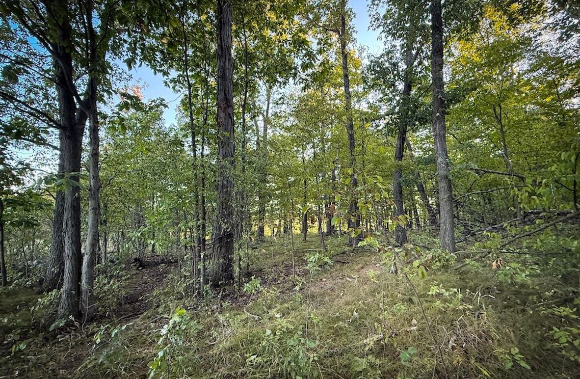 Copy of Wood Tract 1 Photo 14