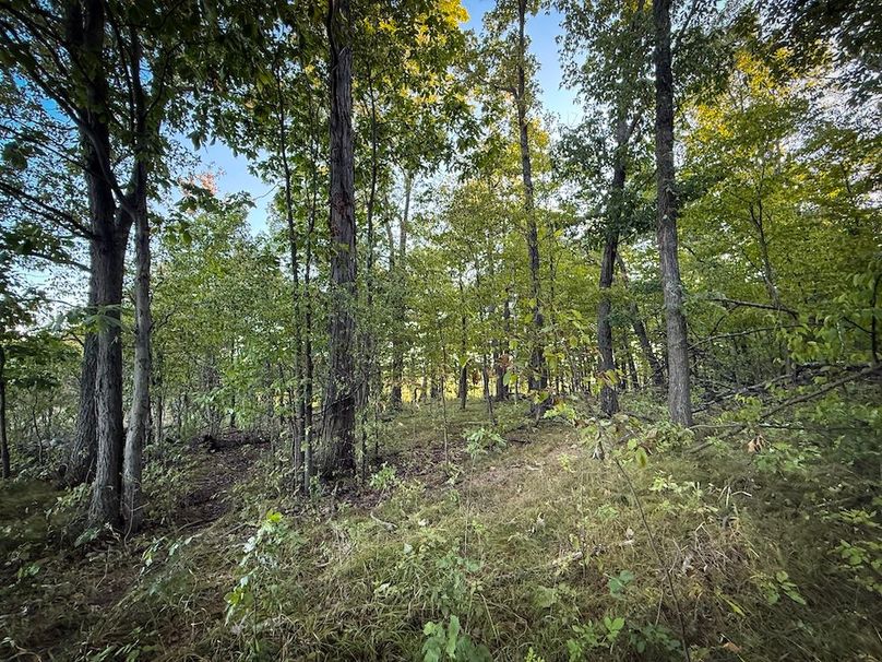 Copy of Wood Tract 1 Photo 14