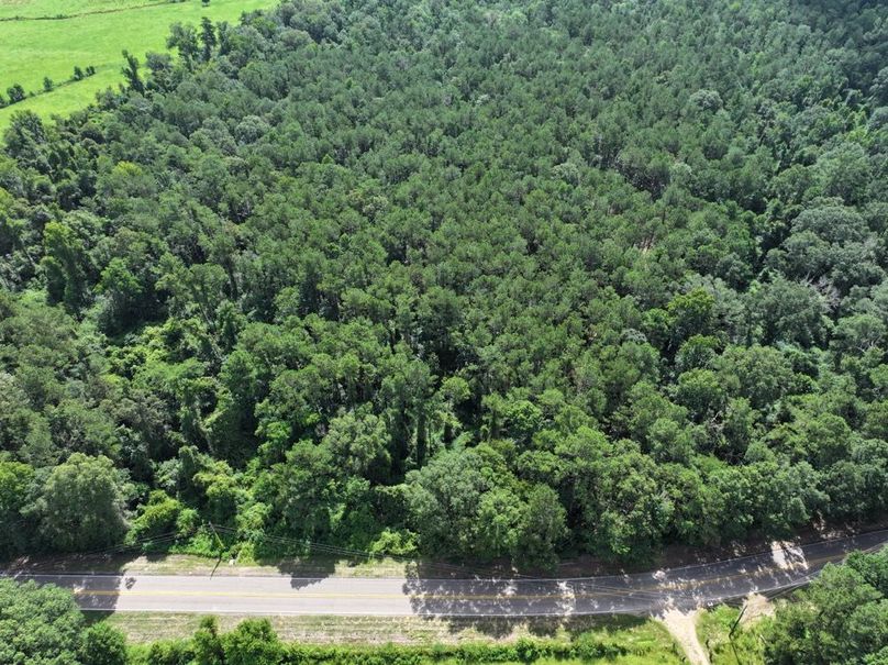 dji_fly_20250708_104724_0199_1752089894038_photo