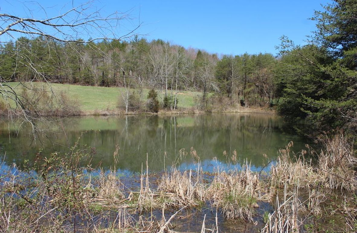 002 gorgeous 1 acre pond in center of the tract between the fields