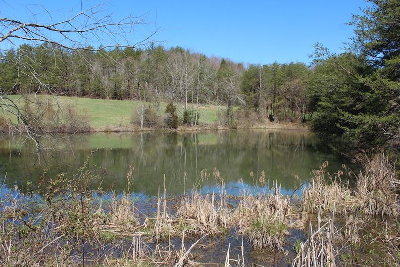 002 gorgeous 1 acre pond in center of the tract between the fields