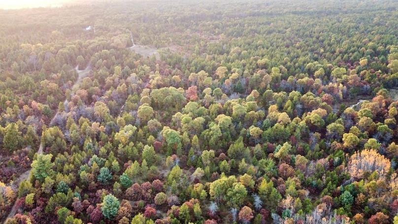 dji_fly_20241011_174646_440_1728687467267_photo_optimized 2