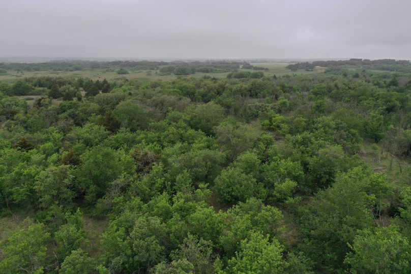 DJI_0396