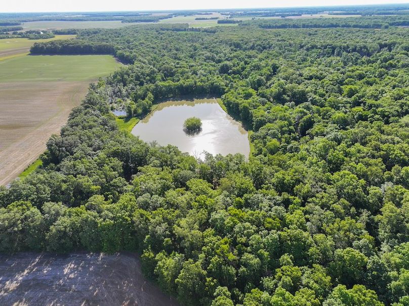 DJI_20260511081928_0062_D