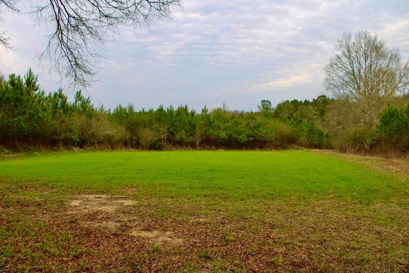 860790B0-0980-4301-B2E4-4634126FE3C1_1_105_c