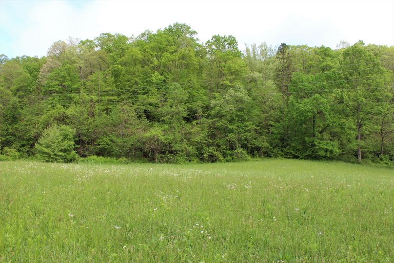 020 open green field area near the east boundary
