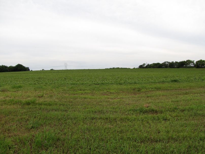 Main crop field facing south