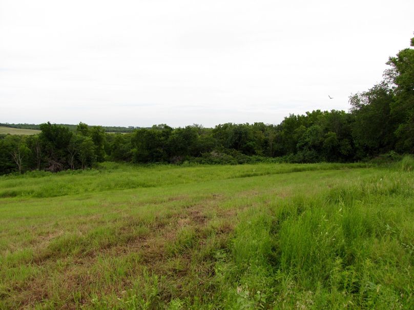 Small hayfield in north central