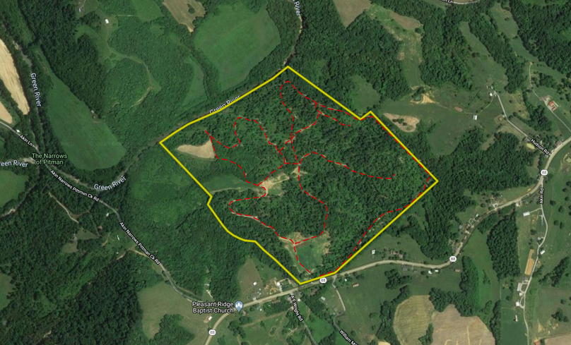 Screen shot 2019-05-14 at 7.55.28 am