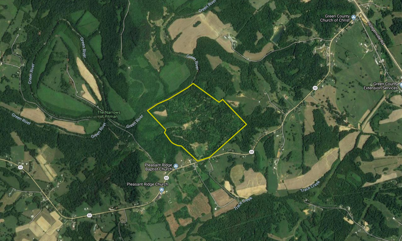 Screen shot 2019-05-14 at 7.56.25 am