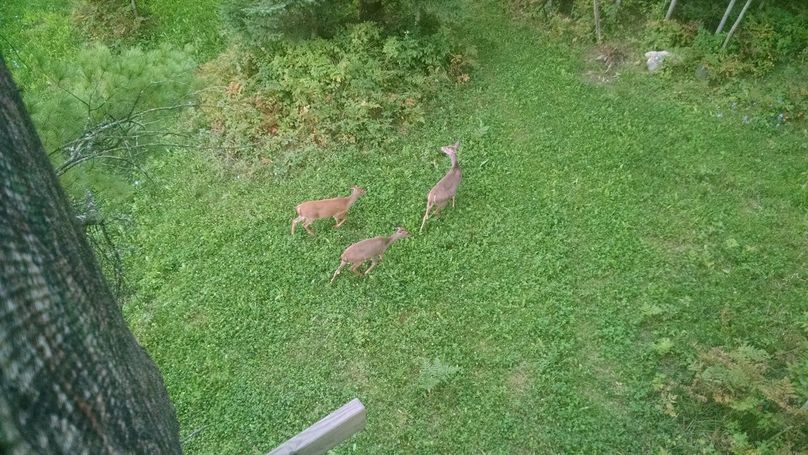 Img 20150916 070501583