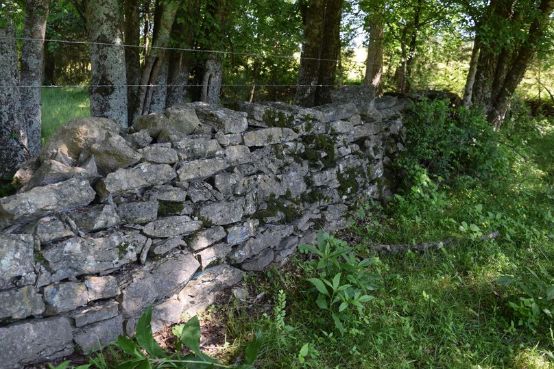 0030 beautiful and rare stone walls