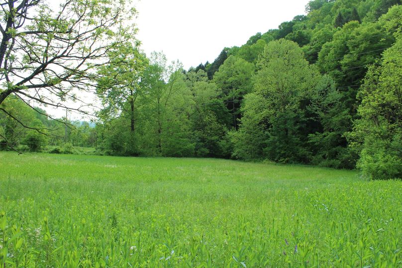 027 open green fields along the east portion of the property. jpg