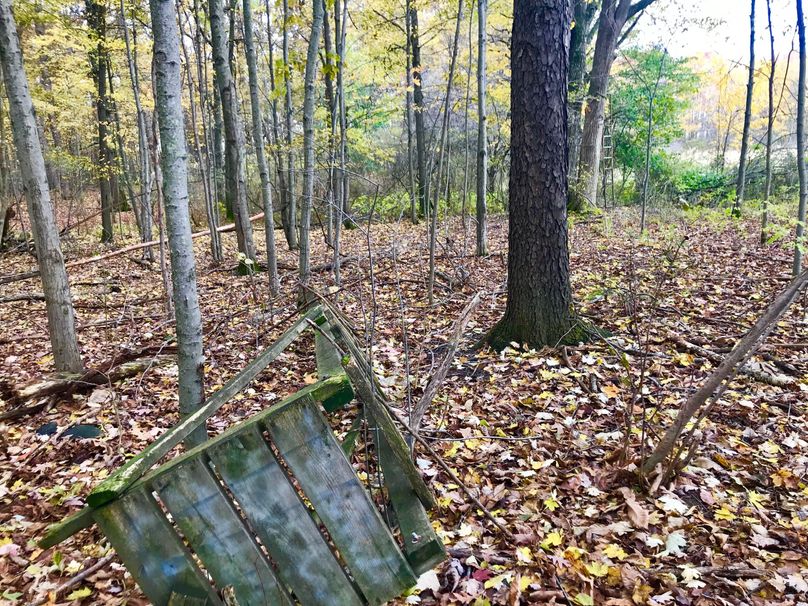 Copy of 38 old treestand