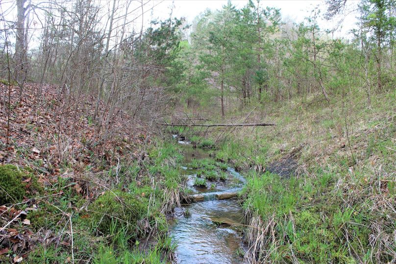 002 year-round stream originating and running through the center of the property