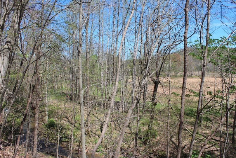 003 view to the northeast from the higher elevations along the west boundary