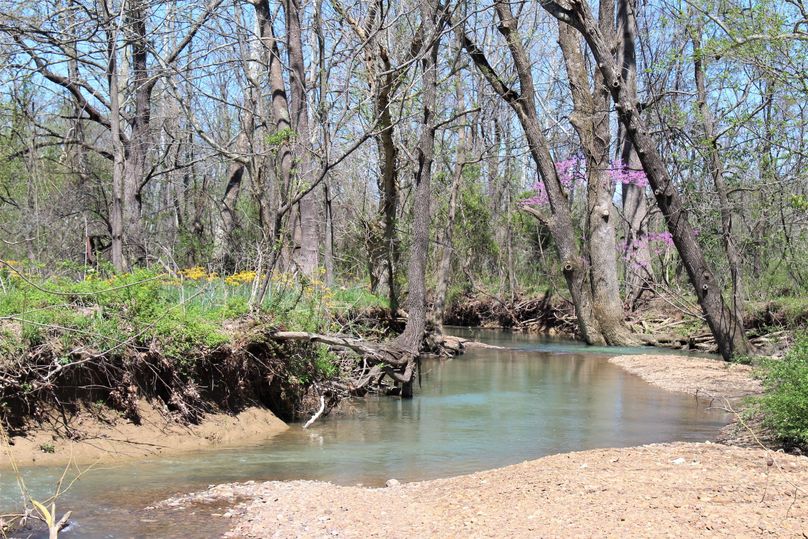 004 main year round stream near the north portion of the property