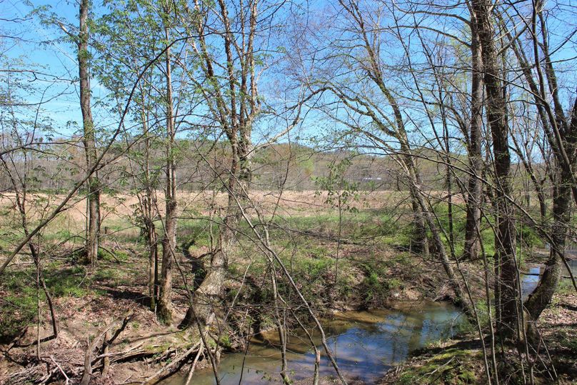 011 wooded field edge near the stream in the center of the property