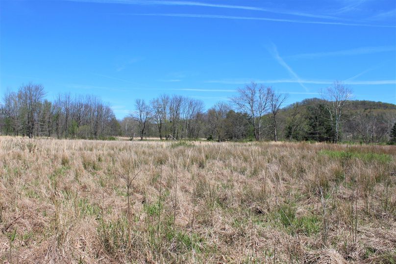 012 pasture area near the north central portion of the property