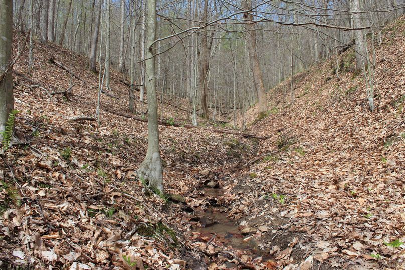 003 stream leading toward the main valley