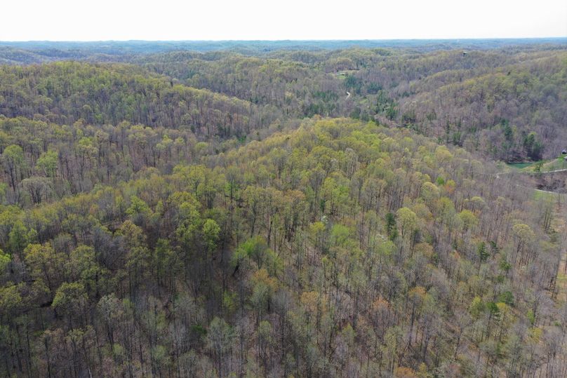 001 drone shot from the center of the property looking to the west