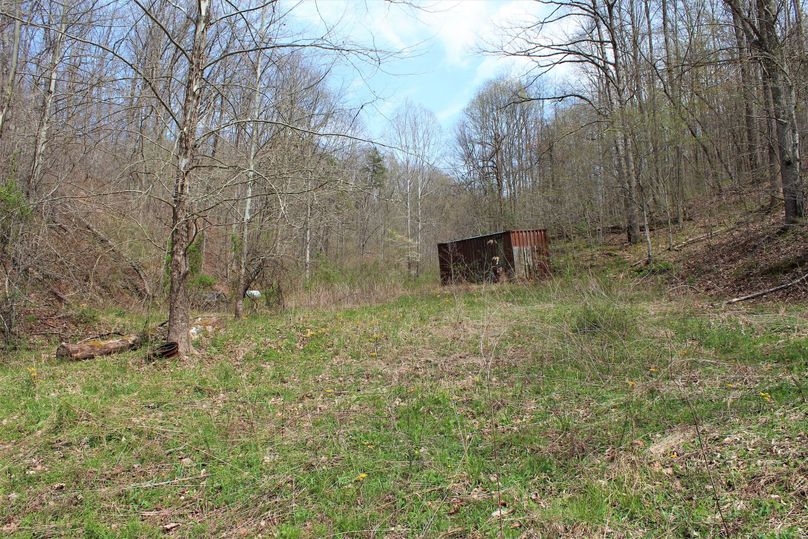 008 metal storage container staying with the property