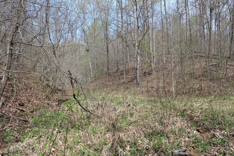 010 small field in the forks of the valley, away from the road