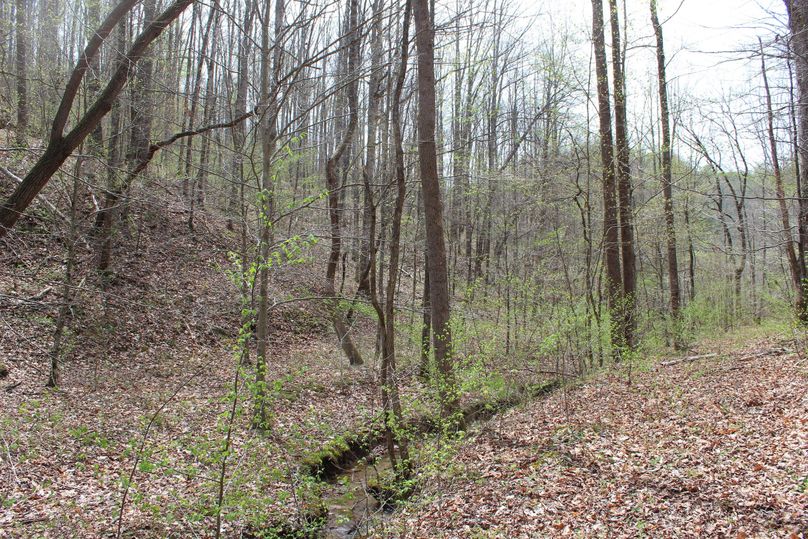 016 old road leading down the main valley