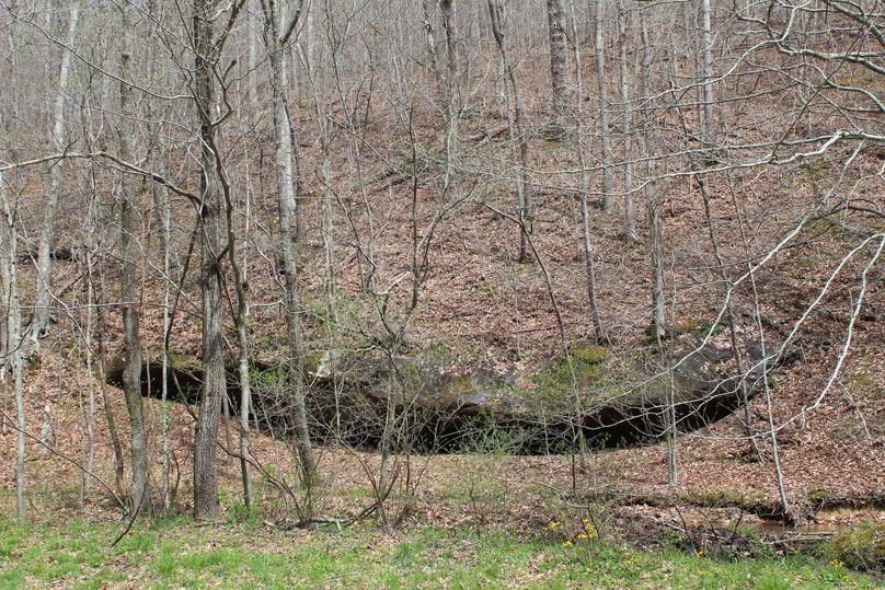 019 rock outcropping near the main creek along the west boundary