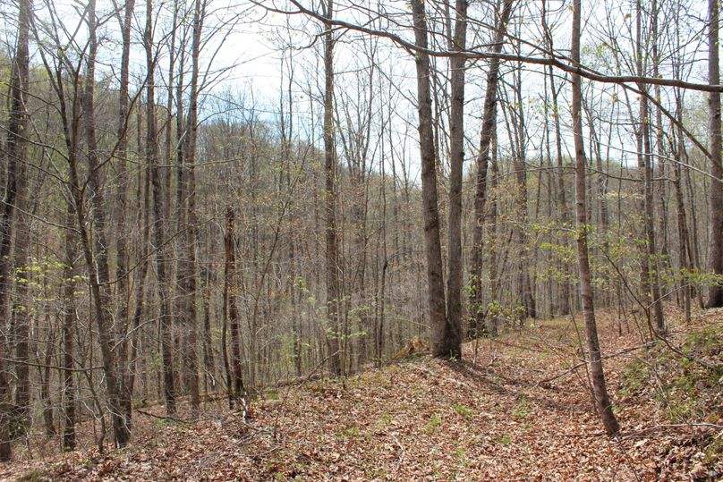 020 one of the many roads leading throughout the property