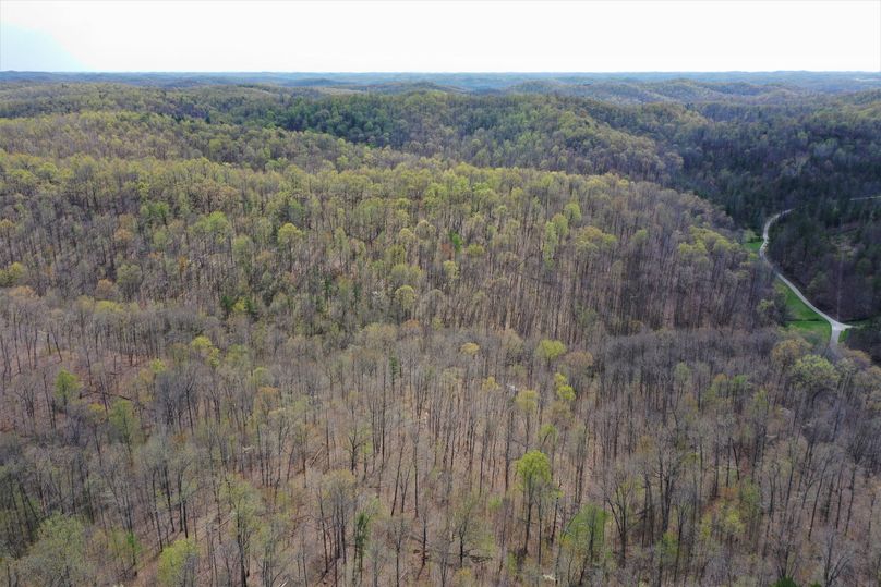 021 drone shot from the north boundary looking to the south