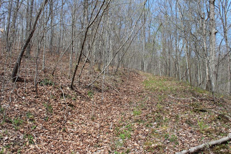 022 nice road leading up through the property