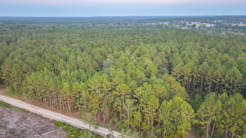 DJI_20250918185531_0293_D