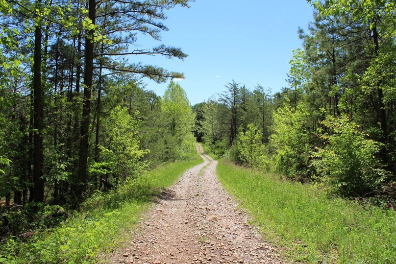 002 forestry road providing access through the property