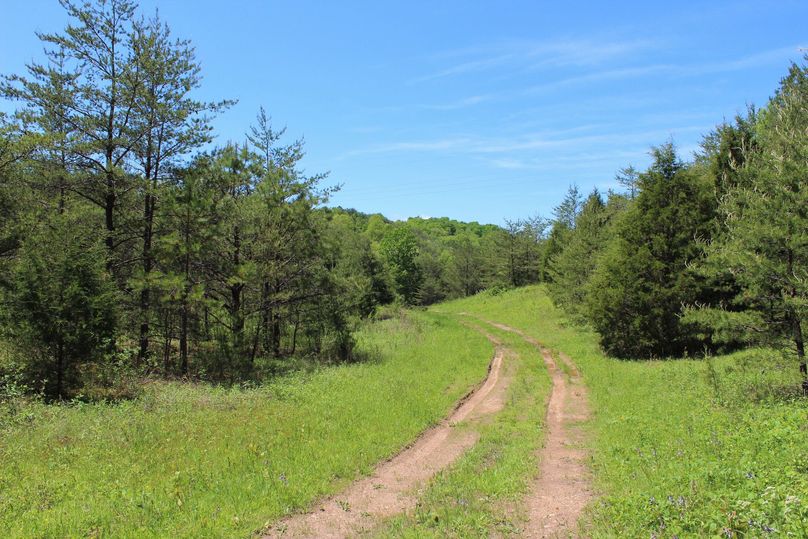 010 access road leading through the interior of the property