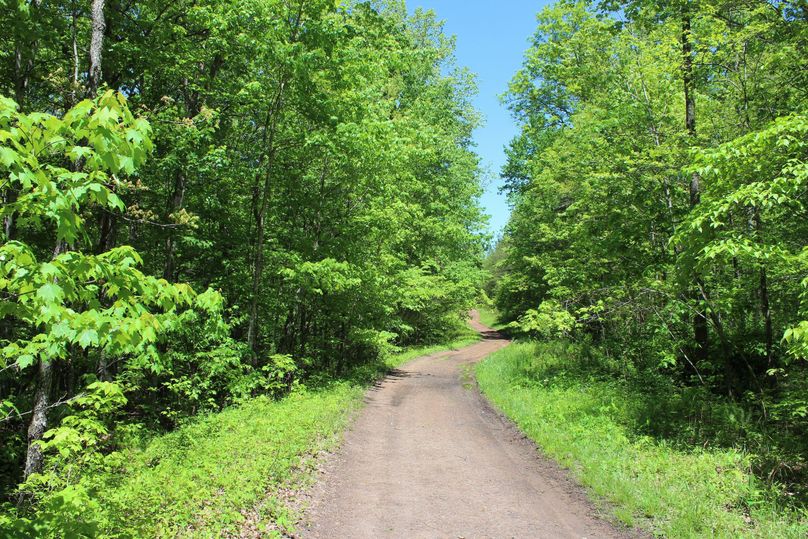 016 the forestry road providing access in the northern portion of the property