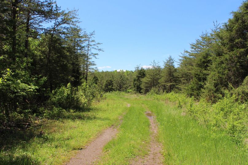 023 open access road leading through the southwest area of the property