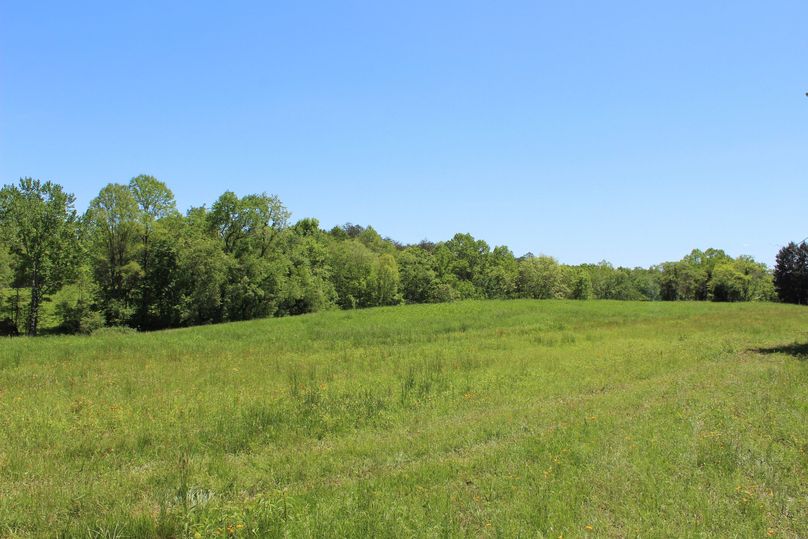 021 breathtaking view across the open field areas near the old homestead