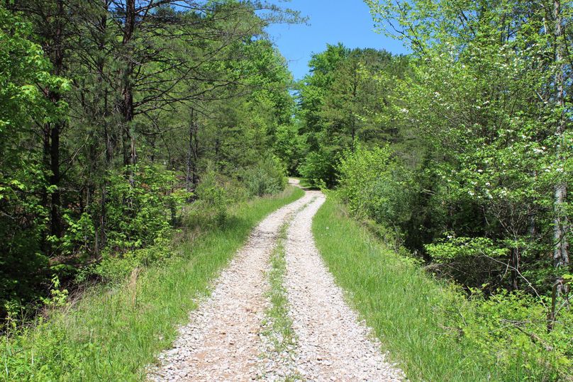 028 the forestry road providing access through the property